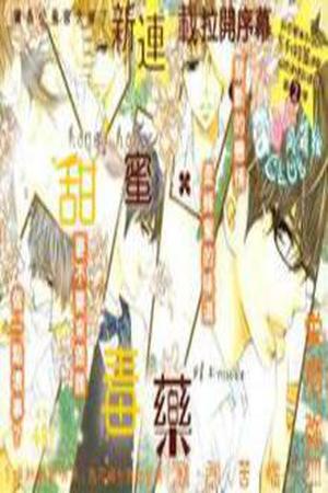 Honey Holic Manga Online - InManga