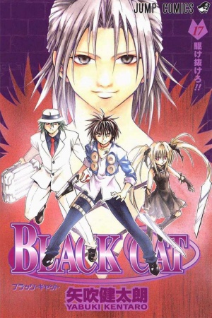 Black Cat Manga Online - InManga