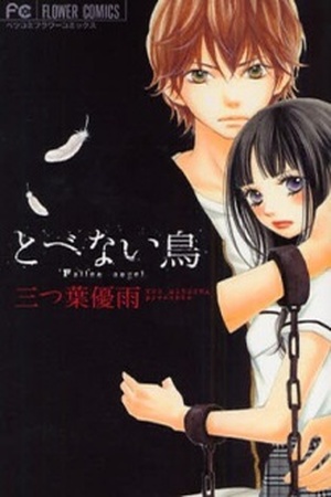 Tobenai Tori Manga Online - InManga
