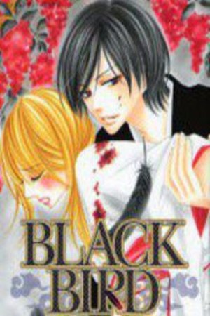 Black Bird Manga Online - InManga