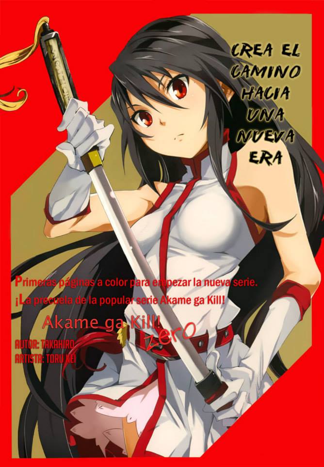 Akame Ga Kill Zero