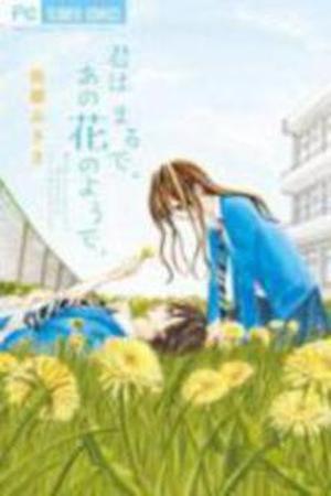 Kimi wa Maru de, Ano Hana no you de Manga Online - InManga