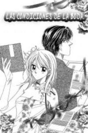 Usotsuki Marriage Manga Online - InManga