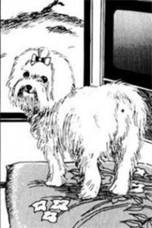 Dog Diary- Ito Junji Manga Online - InManga
