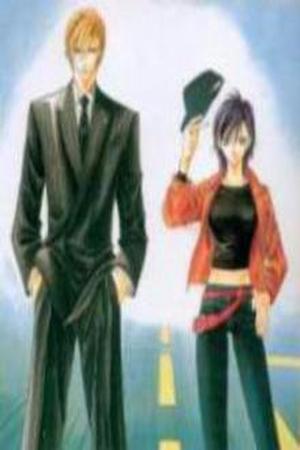 Tokyo Crazy Paradise Manga Online - InManga