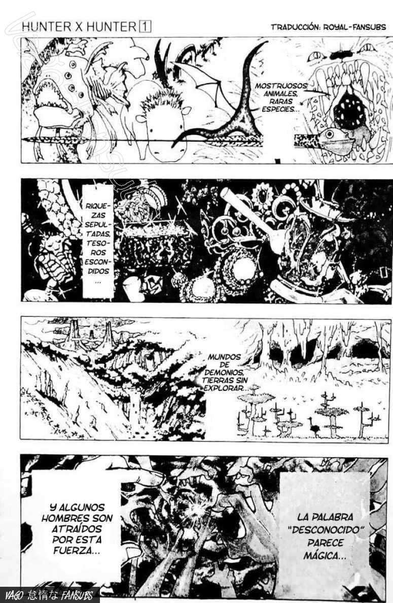 Hunter X Hunter
