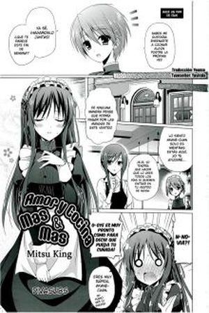 Walkure Romanze: More&More Manga Online - InManga