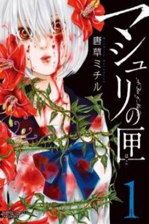 Mashuri no Hako Manga Online - InManga