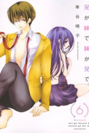 Ani ga Imouto de Imouto ga Ani de Manga Online - InManga